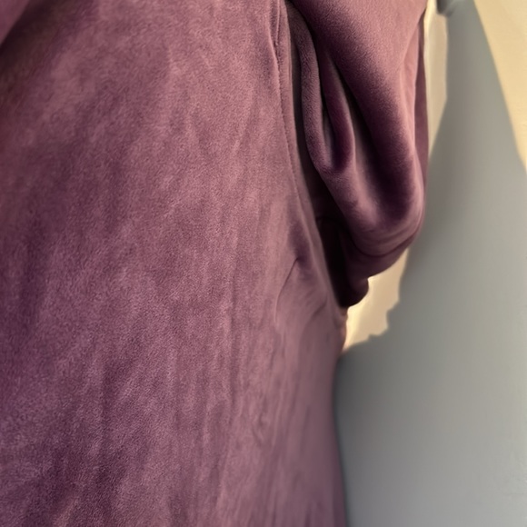 Champion Velour Women’s Hoodie - Picture 5 of 5